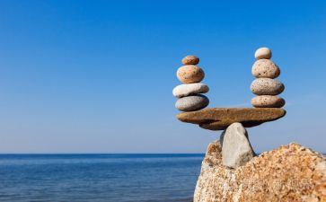 玩平衡车教案推荐5篇