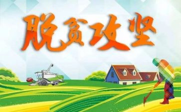 村脱贫攻坚工作报告总结5篇