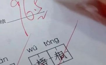 评语的读后感精选5篇