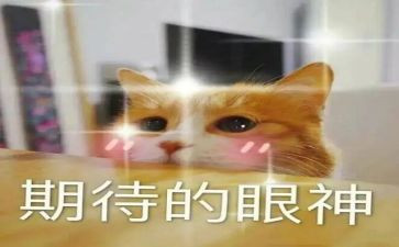 我期待的生活作文参考5篇