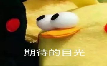 我期待事作文模板5篇