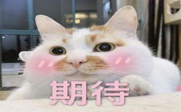 我期待的生活作文8篇