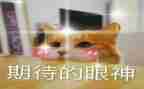 我期待的生活作文参考5篇