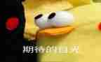 我期待事作文模板5篇