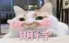 我期待的生活作文8篇