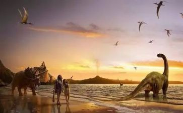 少年派的奇幻之旅读后感5篇