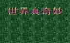 奇妙夜读后感推荐7篇