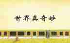奇妙国读后感优秀7篇