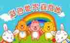 奇妙夜读后感最新5篇