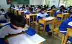 小学学生期末总结模板5篇