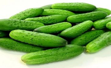 青瓜王子读后感推荐5篇