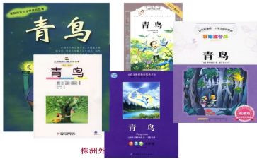 青鸟青鸟读后感推荐6篇