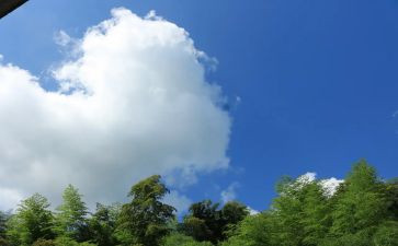 人间晴天读后感8篇