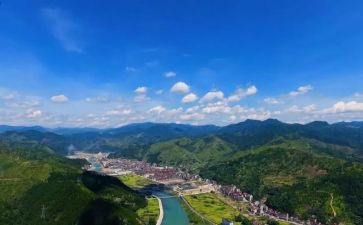 青田的调查报告通用5篇
