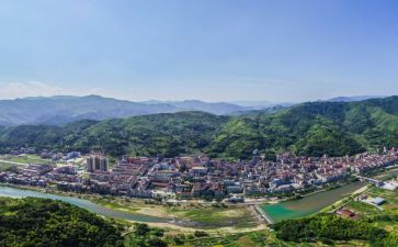 青田的调查报告优秀5篇