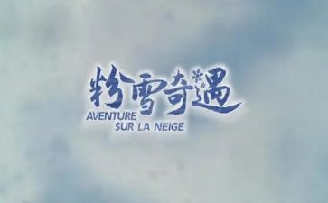 奇遇木偶记读后感7篇