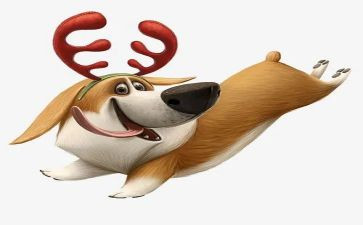 犬的故事读后感推荐6篇