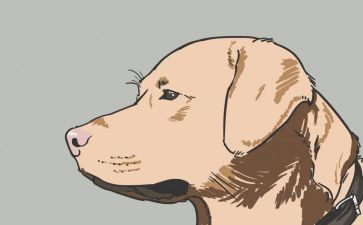 犬只管理自查报告最新5篇