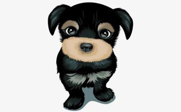 犬训练心得体会模板8篇