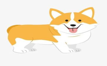 犬只管理自查报告5篇