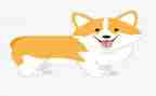 犬只管理自查报告参考8篇