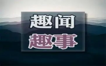 写中秋趣事的作文优秀6篇