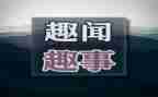 写中秋趣事的作文优秀6篇