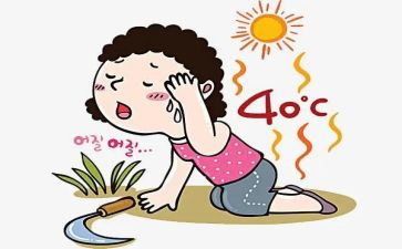 热带雨林探险作文500字8篇