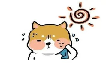对学校的热爱演讲稿5篇