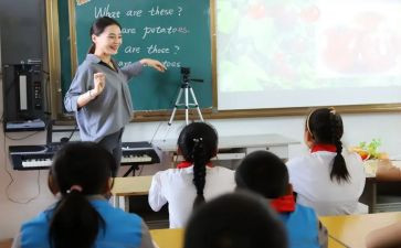 小学班主任教学计划范文5篇