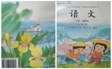 语文教师个人教学工作总结7篇