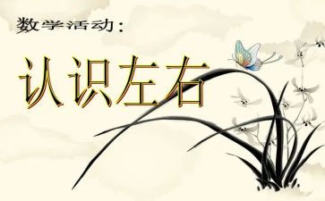 吨的认识教学反思6篇