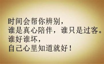 七一个人心得体会5篇