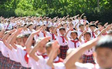 入队申请书最新8篇