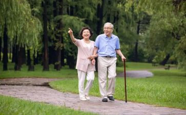 《美学散步》读书心得7篇