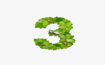 镇三公经费自查报告6篇