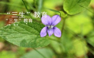 高三生物备课组工作总结推荐6篇