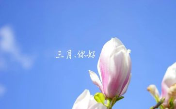 2024年三月主题活动方案7篇