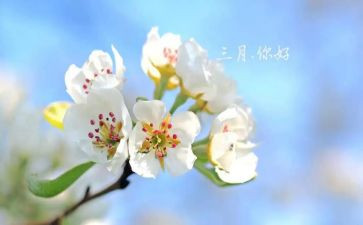 三月工作总结优质7篇