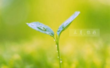 三月份工作总结范文5篇