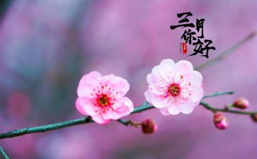 幼儿大班三月工作总结5篇