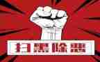 2024年县扫黑除恶工作总结8篇