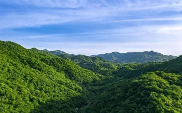 绿山墙的安妮的读后感8篇