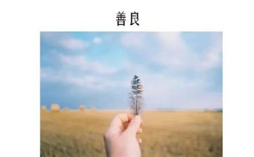 向善向上先进事迹材料7篇