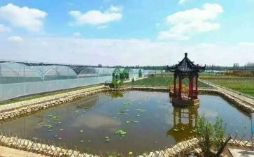 庵上湖调查报告推荐7篇