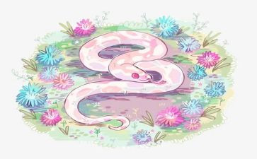 蛇和鹰读后感30字6篇
