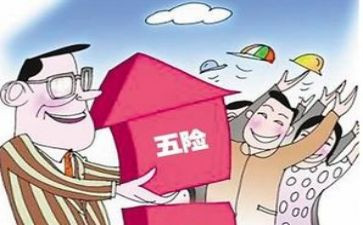 社保局工作总结6篇