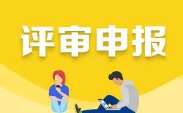 申报中二教师个人总结6篇