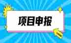专业技术职称申报工作总结7篇