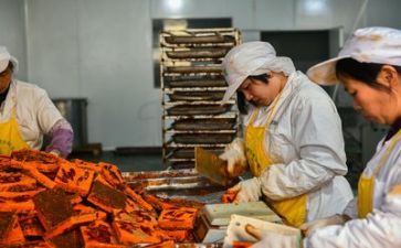 安全生产月安全心得体会最新8篇